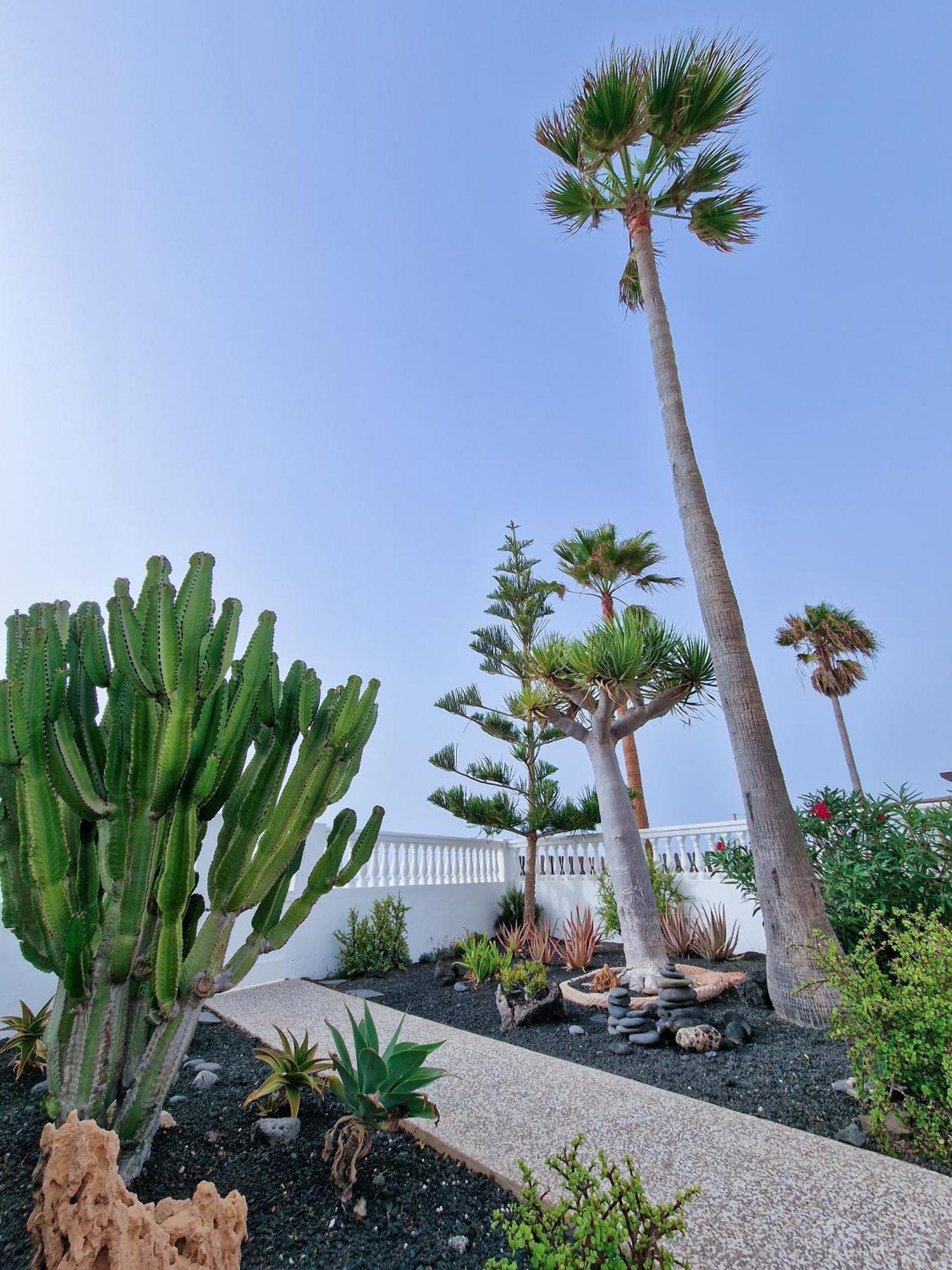 Villa La Maja Beachfront Коралео Екстериор снимка